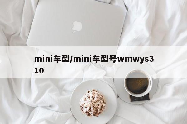 mini车型/mini车型号wmwys310