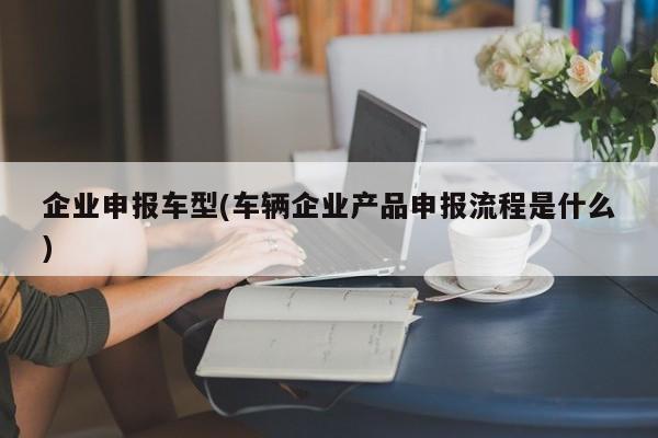 企业申报车型(车辆企业产品申报流程是什么)