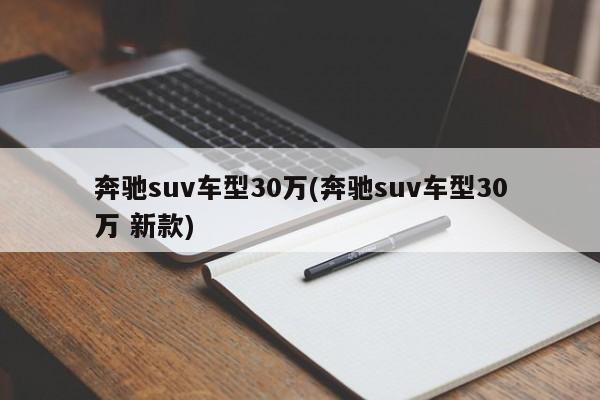 奔驰suv车型30万(奔驰suv车型30万 新款)