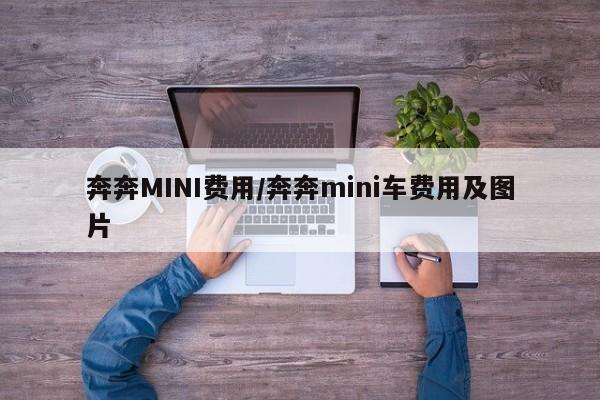 奔奔MINI费用/奔奔mini车费用及图片