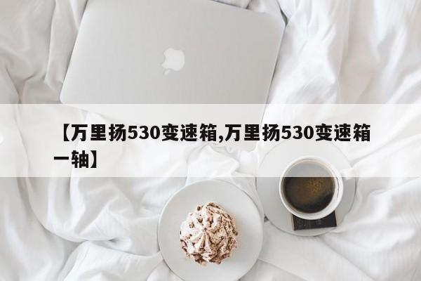 【万里扬530变速箱,万里扬530变速箱一轴】