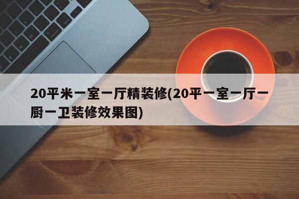 20平米一室一厅精装修(20平一室一厅一厨一卫装修效果图)