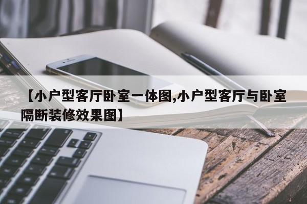 【小户型客厅卧室一体图,小户型客厅与卧室隔断装修效果图】