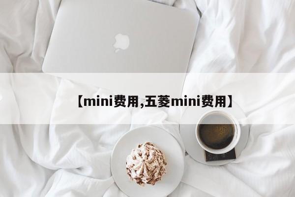 【mini费用,五菱mini费用】