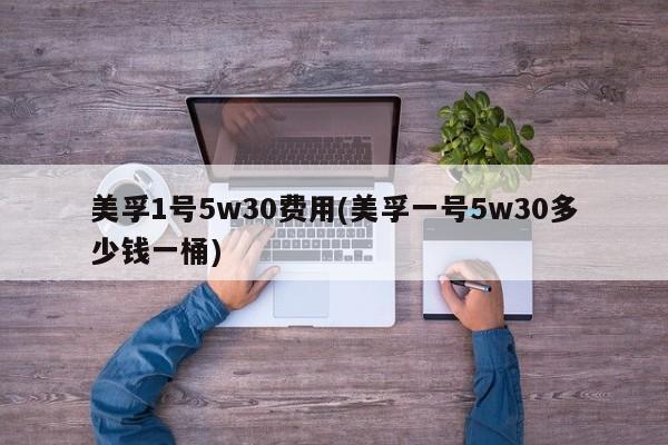 美孚1号5w30费用(美孚一号5w30多少钱一桶)