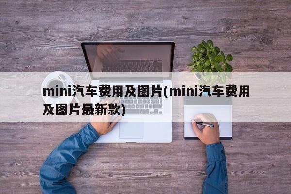 mini汽车费用及图片(mini汽车费用及图片最新款)