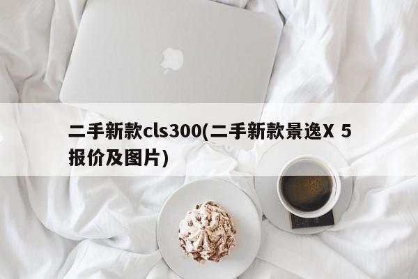 二手新款cls300(二手新款景逸X 5报价及图片)
