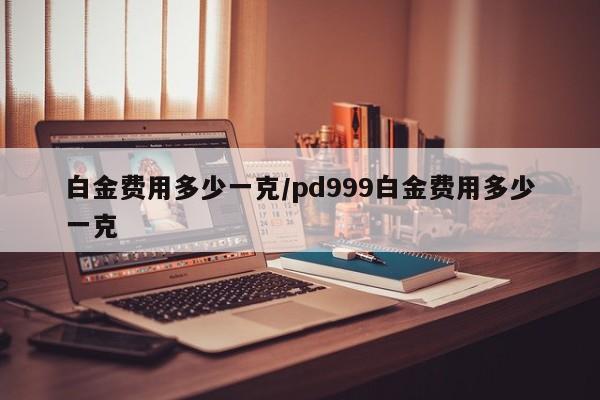 白金费用多少一克/pd999白金费用多少一克