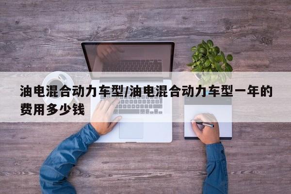 油电混合动力车型/油电混合动力车型一年的费用多少钱